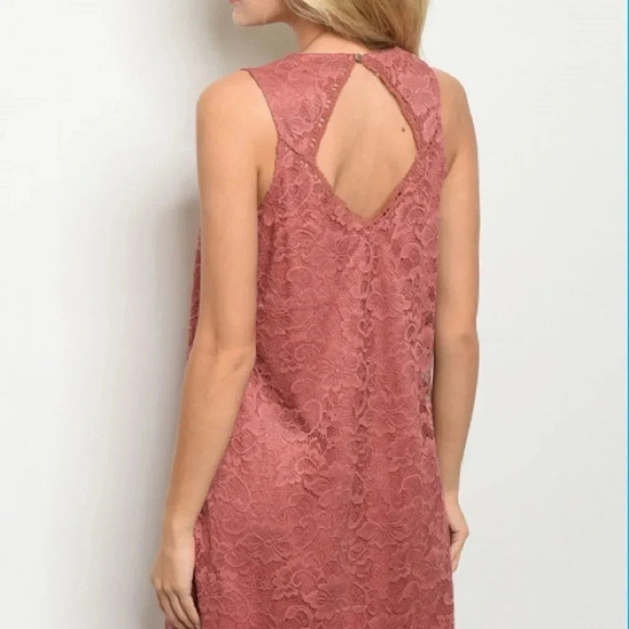 Francesca's Dusty Rose Lace Cut Out Mini Dress Sweet & Chic Size Medium - Picture 5 of 9